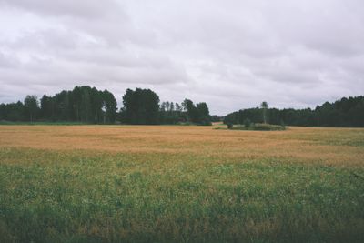 Fields